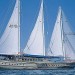 Photo of Charter gulet Kayhan