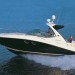 Photo of Charter M/Y Sundancer 335
